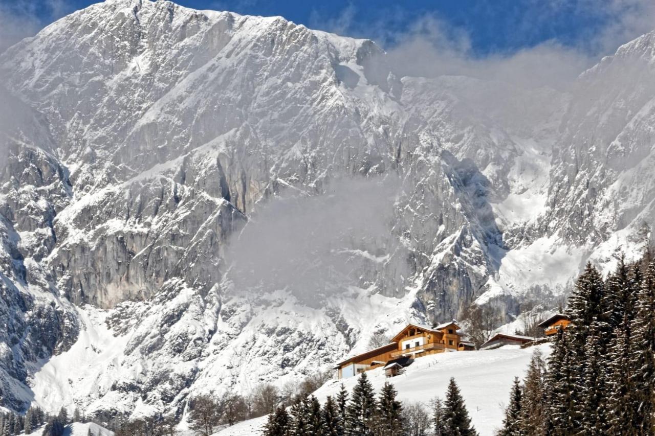 Gut Stein Panoramalodge Muhlbach Am Hochkonig Exterior photo